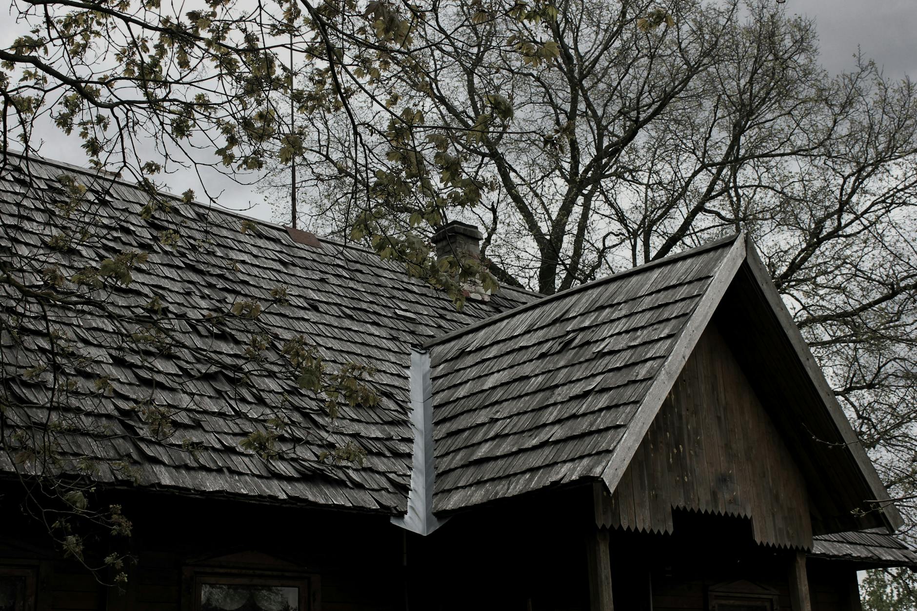 Shingle roof replacement in Riverside